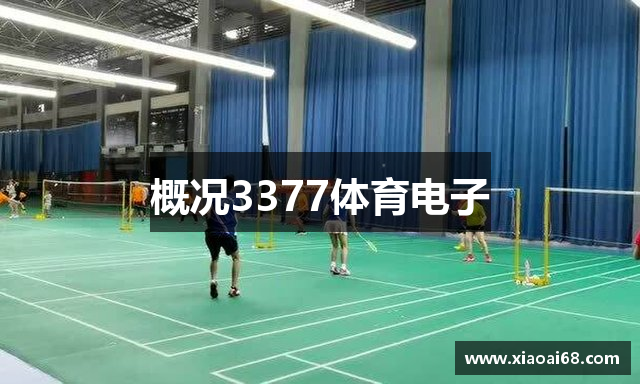 概况3377体育电子